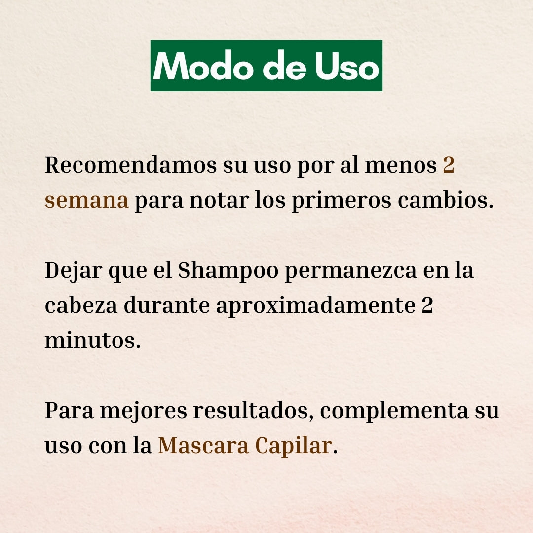 Shampoo Reparación Aloe & Argán Oil 350ml