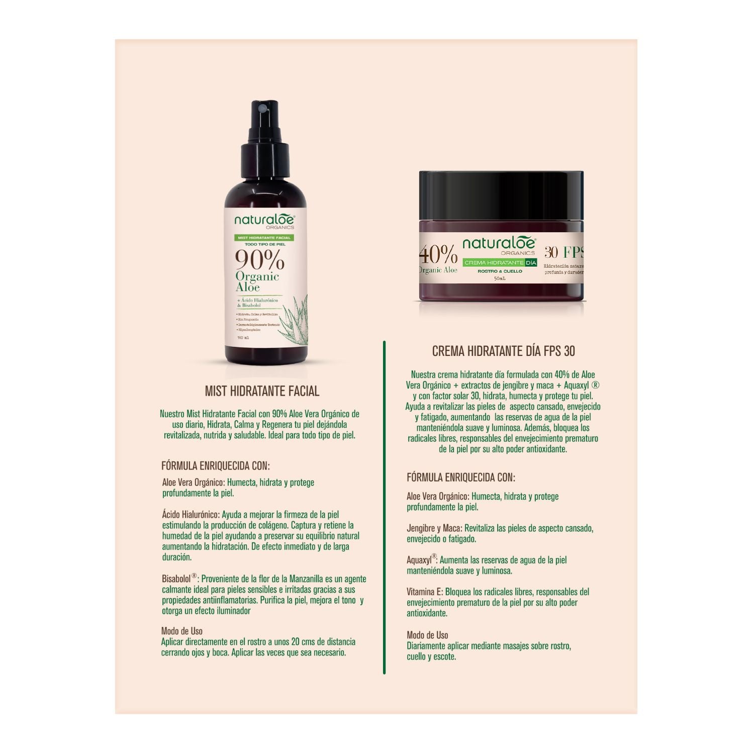 Set Crema Hidratante Día + Aloe Mist