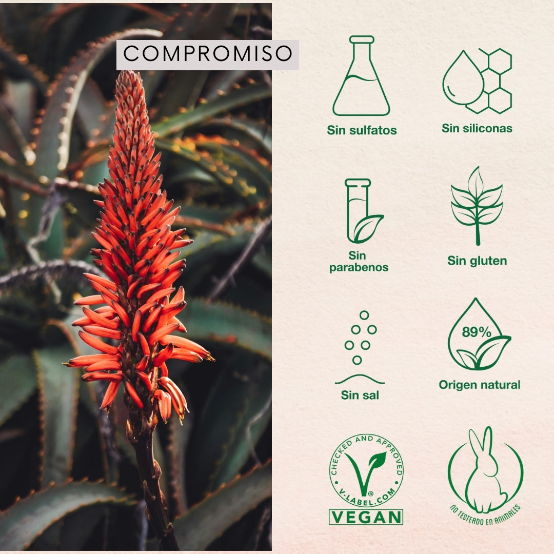 Set Shampoo + Acondicionador Reparación con Aloe & Argan Oil 350ml