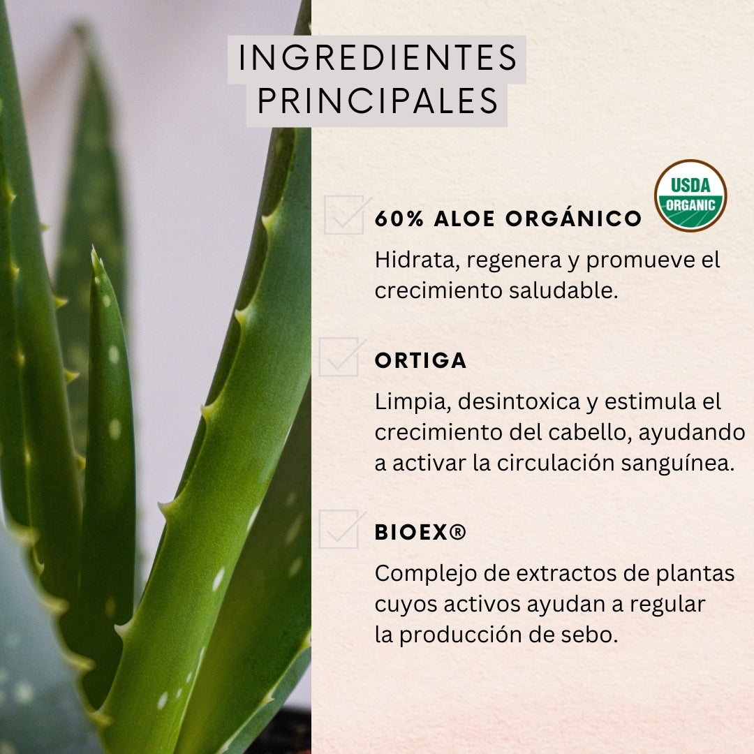 Set Shampoo Control Caida Normal a Graso + Acondicionador 350ml