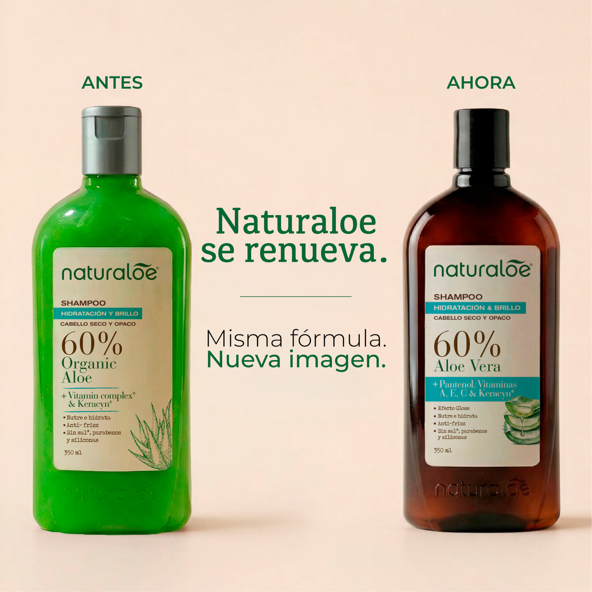 Shampoo Hidratación & Brillo 350ml