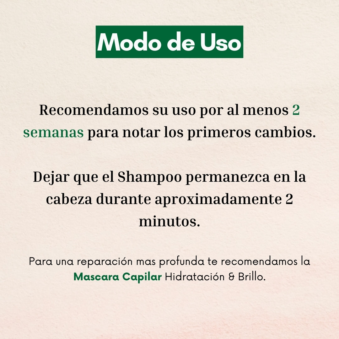 Shampoo Hidratación & Brillo 350ml