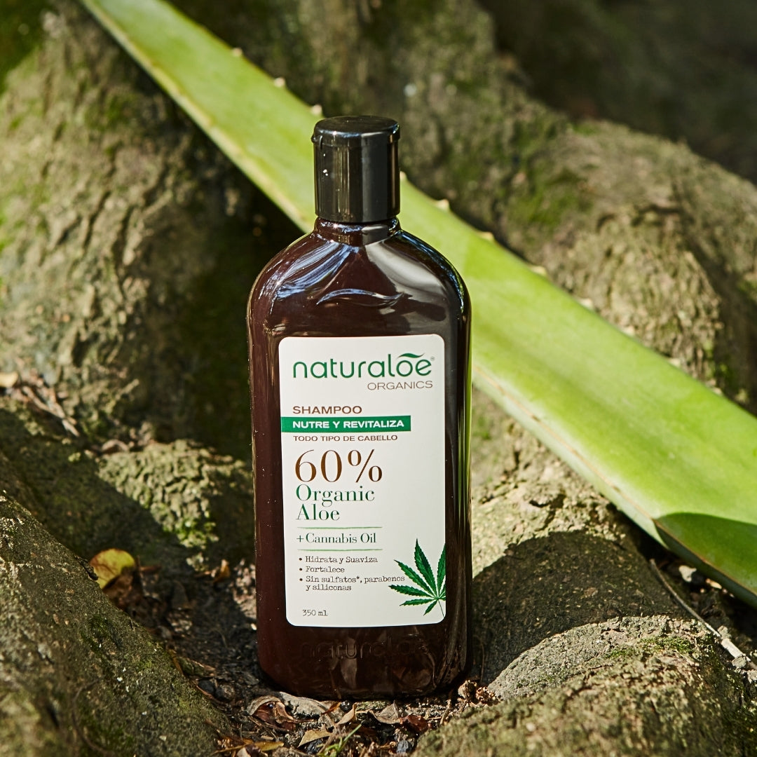 Shampoo Nutrición Aloe & Cannabis Oil 350ml