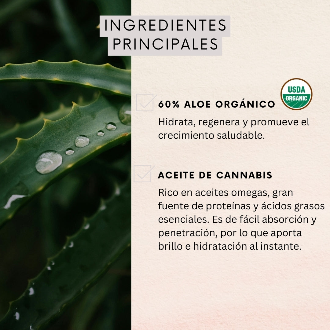 Shampoo Nutrición Aloe & Cannabis Oil 350ml