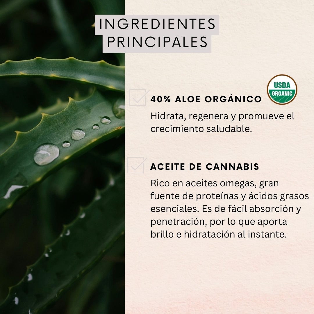 Acondicionador Nutrición Aloe & Cannabis Oil 350ml