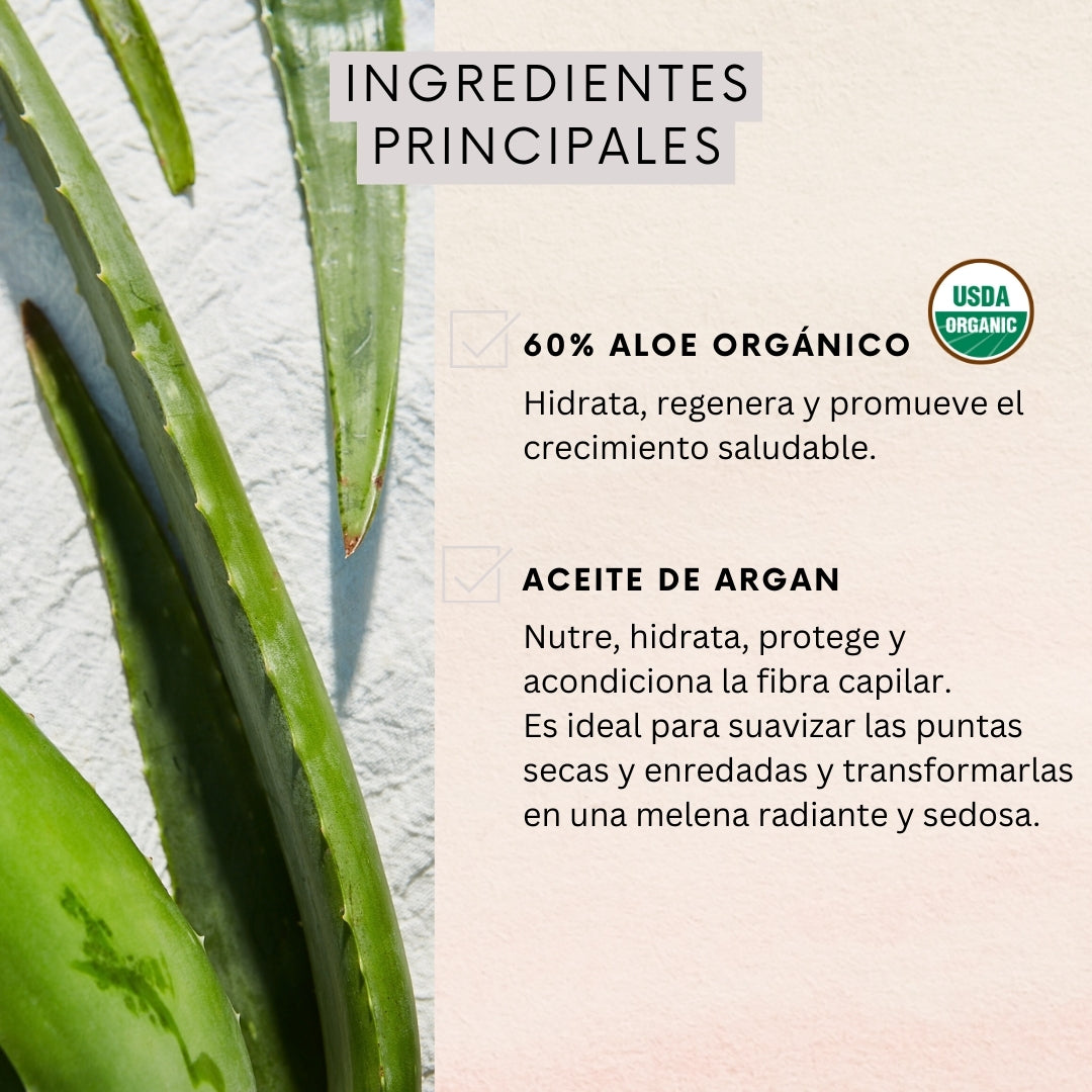 Shampoo Reparación Aloe & Argán Oil 350ml