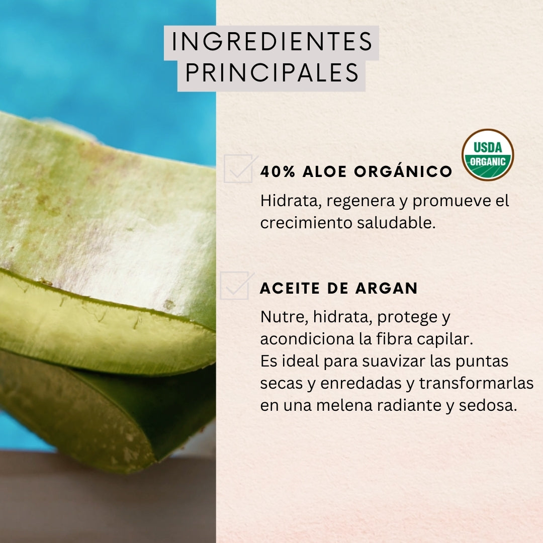 Acondicionador Reparación Aloe & Argán Oil 350ml