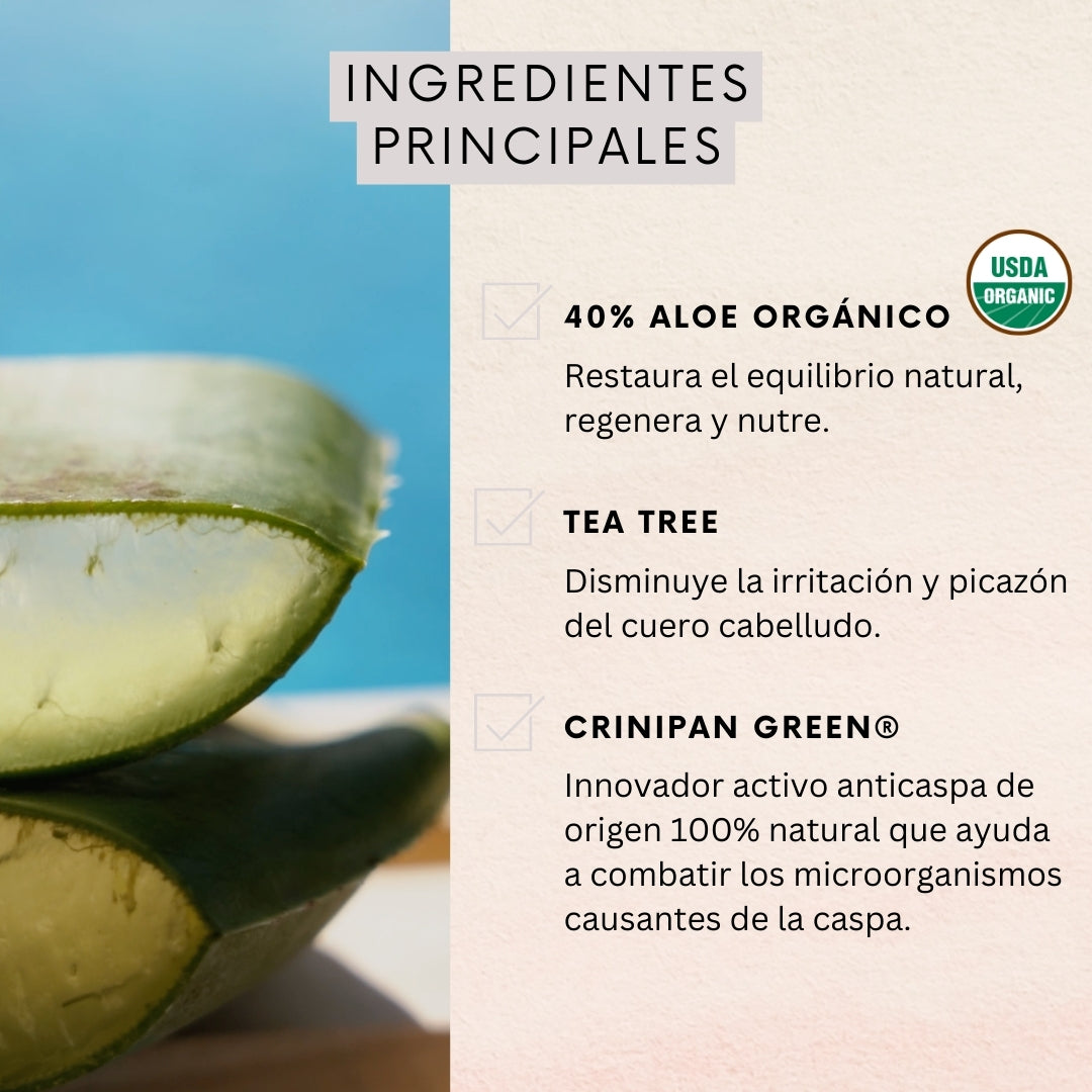 Acondicionador Anticaspa Aloe & Tea Tree 350 ml