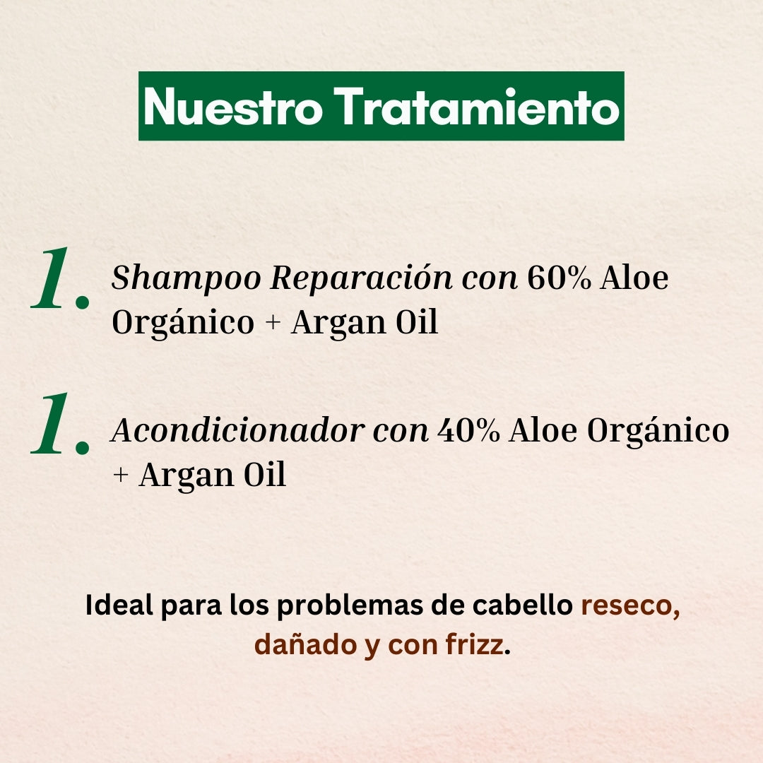 Set Shampoo + Acondicionador Reparación con Aloe & Argan Oil 350ml