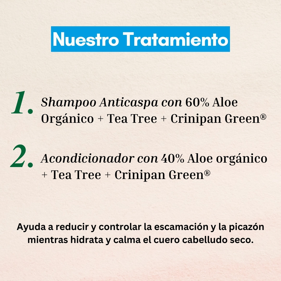 Set Shampoo + Acondicionador Anticaspa con Aloe & Tea Tree 350ml