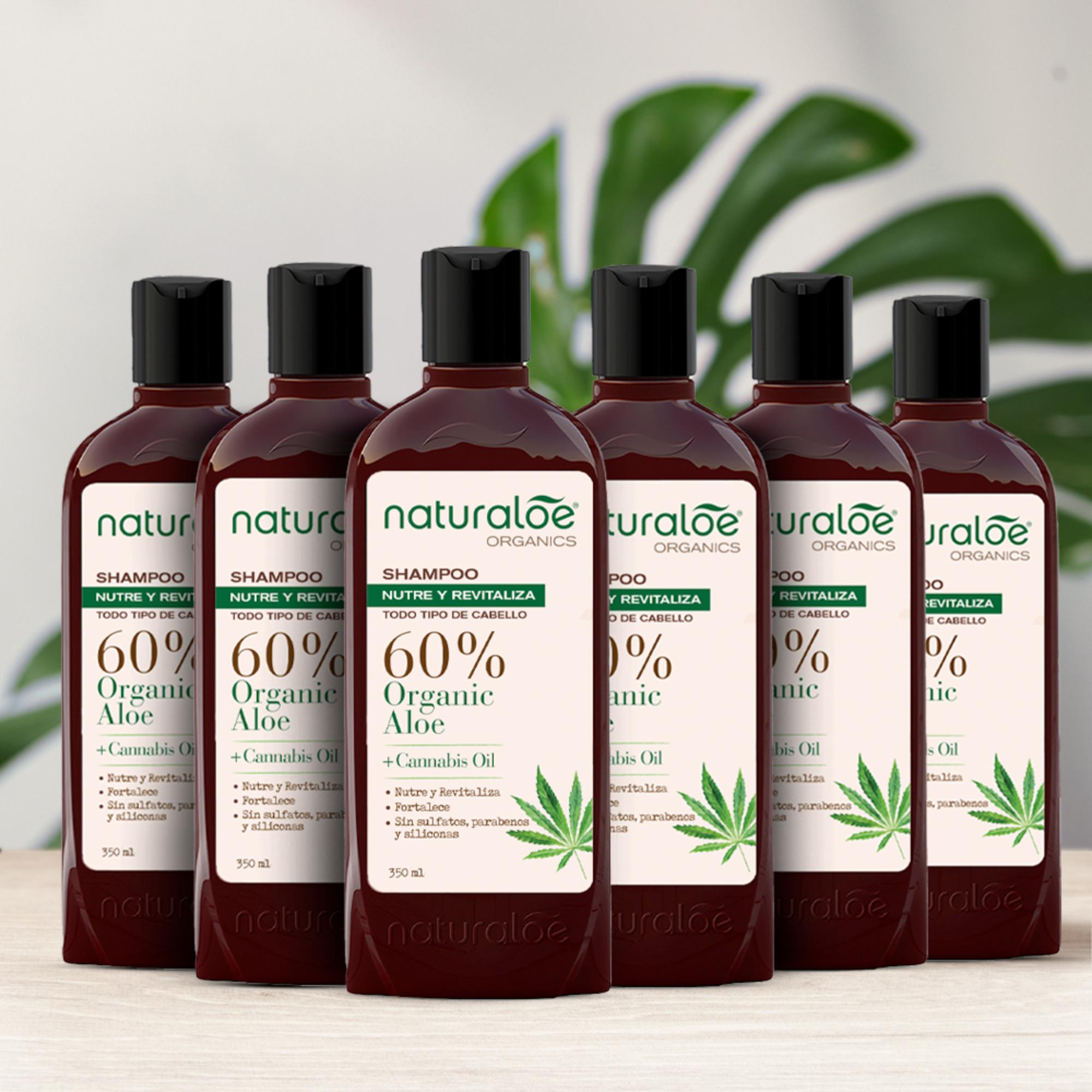 Set 6 Shampoo Aloe & Cannabis Oil 350ml