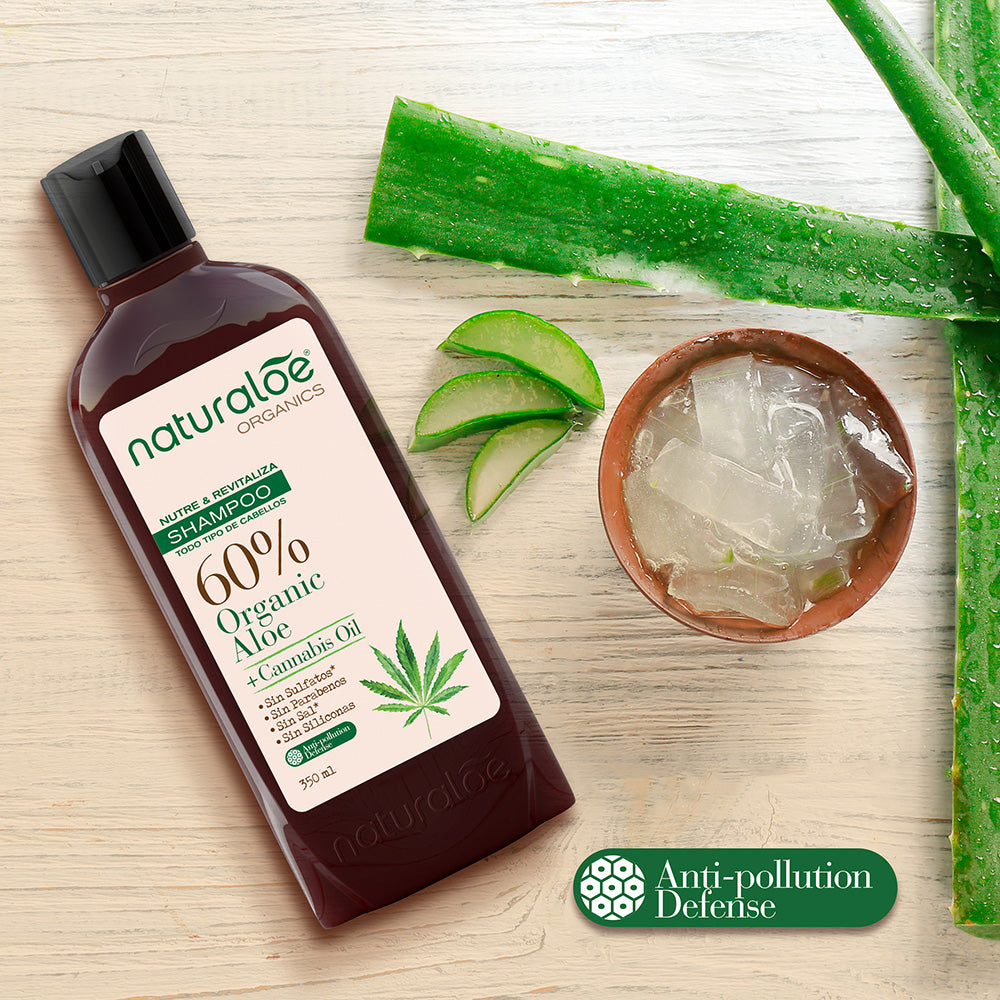 Set 6 Shampoo Aloe & Cannabis Oil 350ml