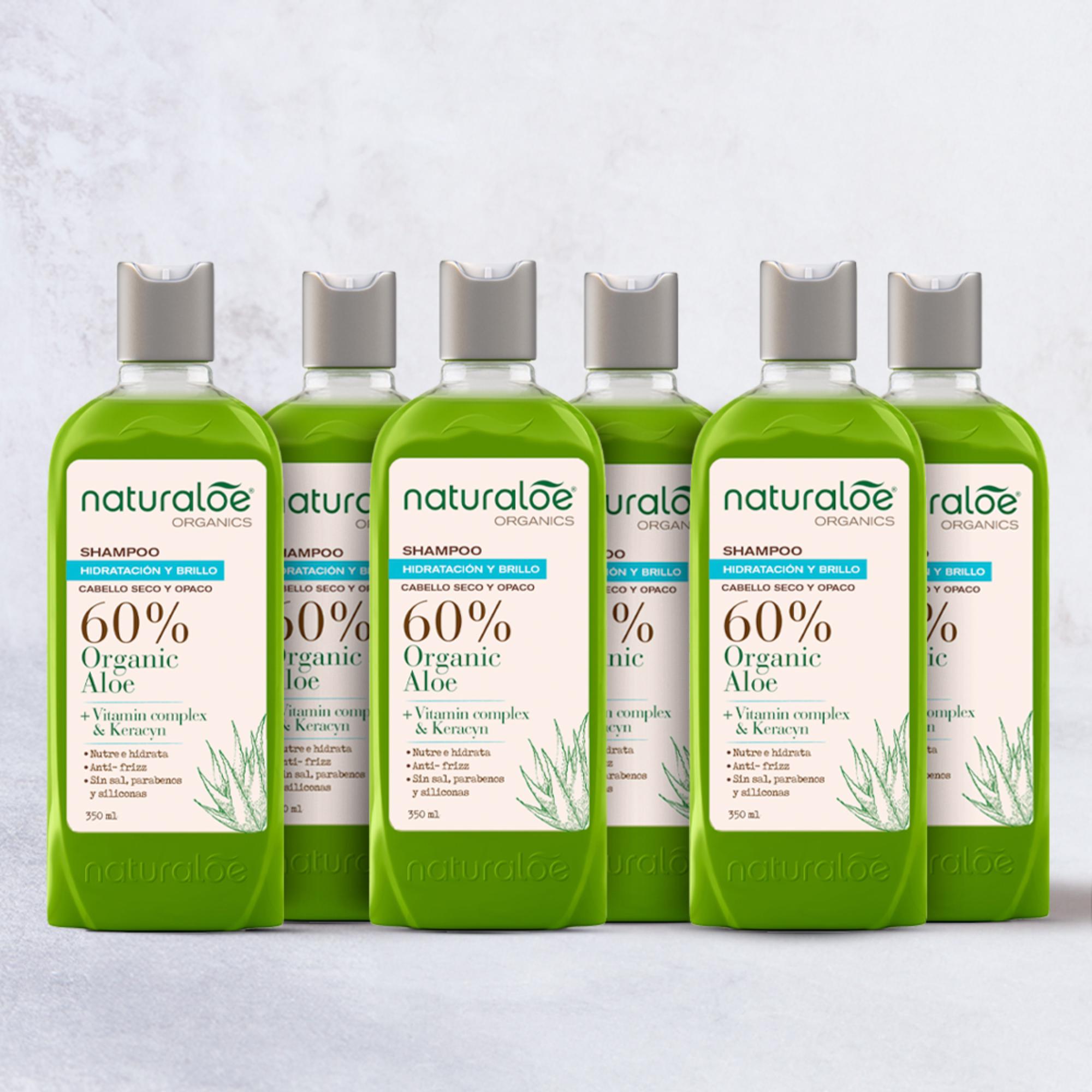 Set 6 Shampoo Hidratación & Brillo 350ml